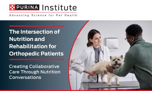 The intersection of nutrition and rehabilitation for orthopedic patients