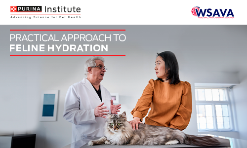 Practical Approach to Feline Hydration