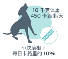 10公斤体重450卡路里/天。一小块培根=10%的每日热量。