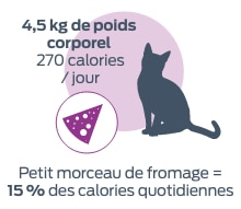 4,5 kg de poids corporel 270 calories/jour. Petit morceau de fromage = 15 % des calories quotidiennes.