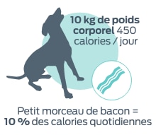 10 kg de poids corporel 450 calories/jour. Un petit morceau de bacon = 10 % des calories quotidiennes.