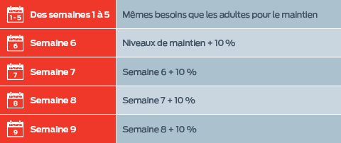 De la semaine 1 à la semaine 5 : mêmes exigences que les adultes pour l'entretien ; Semaine 6 : Niveaux d'entretien + 10% ; Semaine 7 : Semaine 6 + 10% ; Semaine 8 : Semaine 7 + 10% ; semaine 9 : Semaine 8 + 10 %.