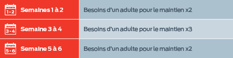 " Semaine 1 à 2 : Besoins d'un adulte pour l'entretien x2. Semaine 3 à 4 : Besoins de l'adulte pour l'entretien x3. Semaine 5 à 6 : Besoins de l'adulte pour l'entretien x2."