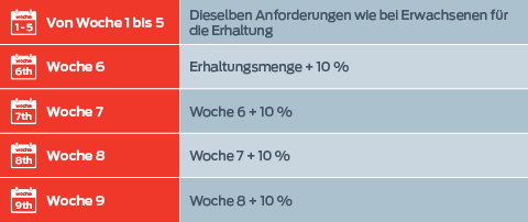 Von Woche 1 bis 5: Dieselben Anforderungen wie bei Erwachsenen zur Erhaltung; Woche 6: Erhaltungsniveau + 10 %; Woche 7: Woche 6 + 10 %; Woche 8: Woche 7 + 10 %; Woche 9: Woche 8 + 10 %