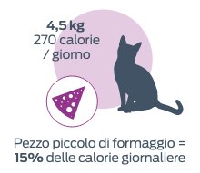 4,5 kg BWt 270 calorie/giorno. Un piccolo pezzo di formaggio = 15% di calorie giornaliere.