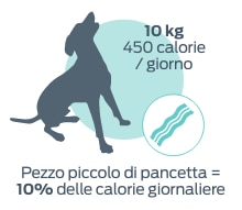 10 kg BWt 450 calorie/giorno. Un piccolo pezzo di pancetta = 10% di calorie giornaliere.