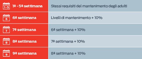 Dalla settimana 1 alla 5: stessi requisiti degli adulti per il mantenimento; Settimana 6: Livelli di mantenimento + 10%; Settimana 7: Settimana 6 + 10%; Settimana 8: Settimana 7 + 10%; Settimana 9: Settimana 8 + 10%