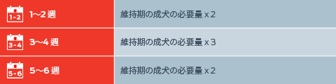 1週目から2週目：メンテナンスのための大人の条件×2。3週目から4週目：メンテナンスのための大人の条件×3。5週目から6週目：メンテナンスのための大人の条件x2。