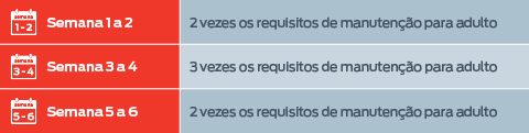 Semana 1 a 2: Requisitos do adulto para manutenção x2; Semana 3 a 4: Requisitos do adulto para manutenção x3; Semana 5 a 6: Requisitos do adulto para manutenção x2