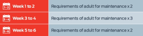 Weeks 1 to 2: 2x adult conditions for maintenance. Weeks 3 to 4: 3x adult conditions for maintenance. Weeks 5 to 6: 2x adult conditions for maintenance.