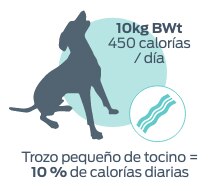 10kg BWt 450 calorias / dia